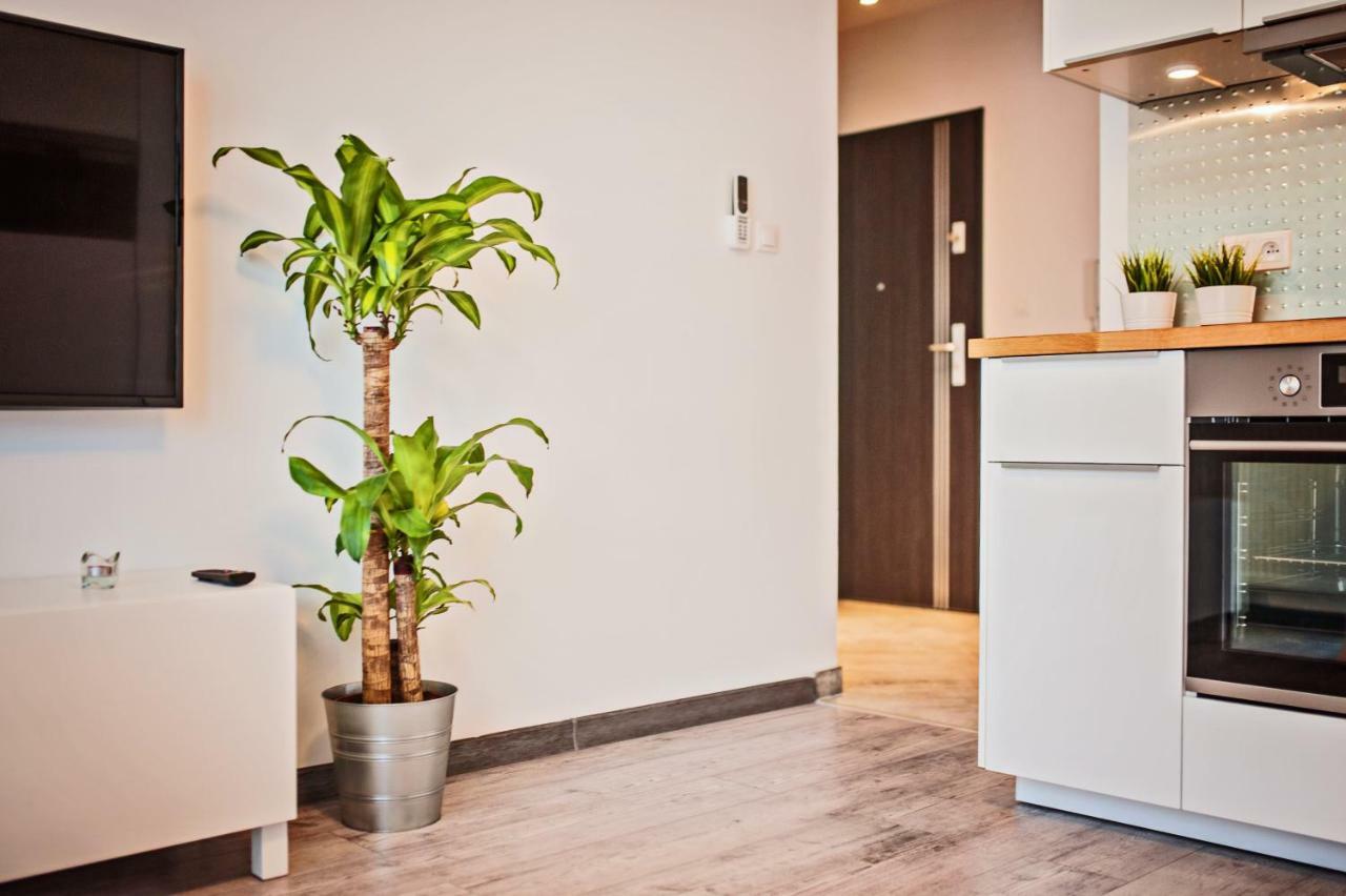 Good Time Apartments Strzelecka B 포즈난 외부 사진